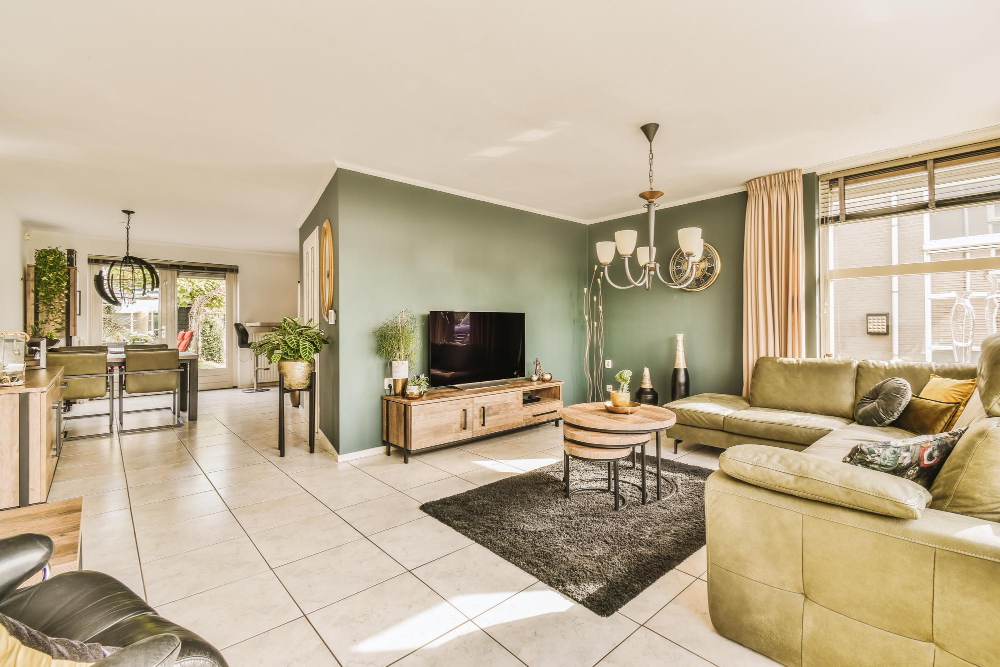 un salon élégant pour intégrer un espace télévisuel avec style